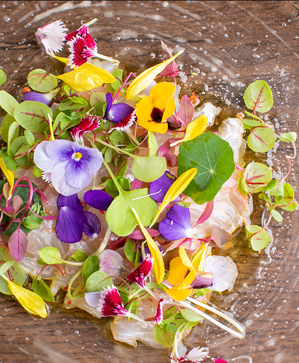 鮮魚のカルパッチョ花畑風